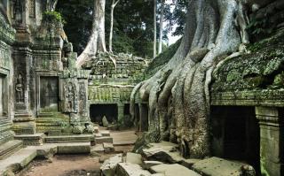 Ta Prohm.jpeg